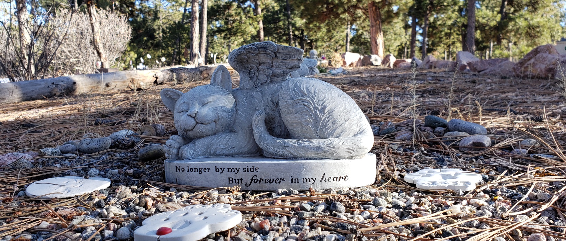 MemorialPicture